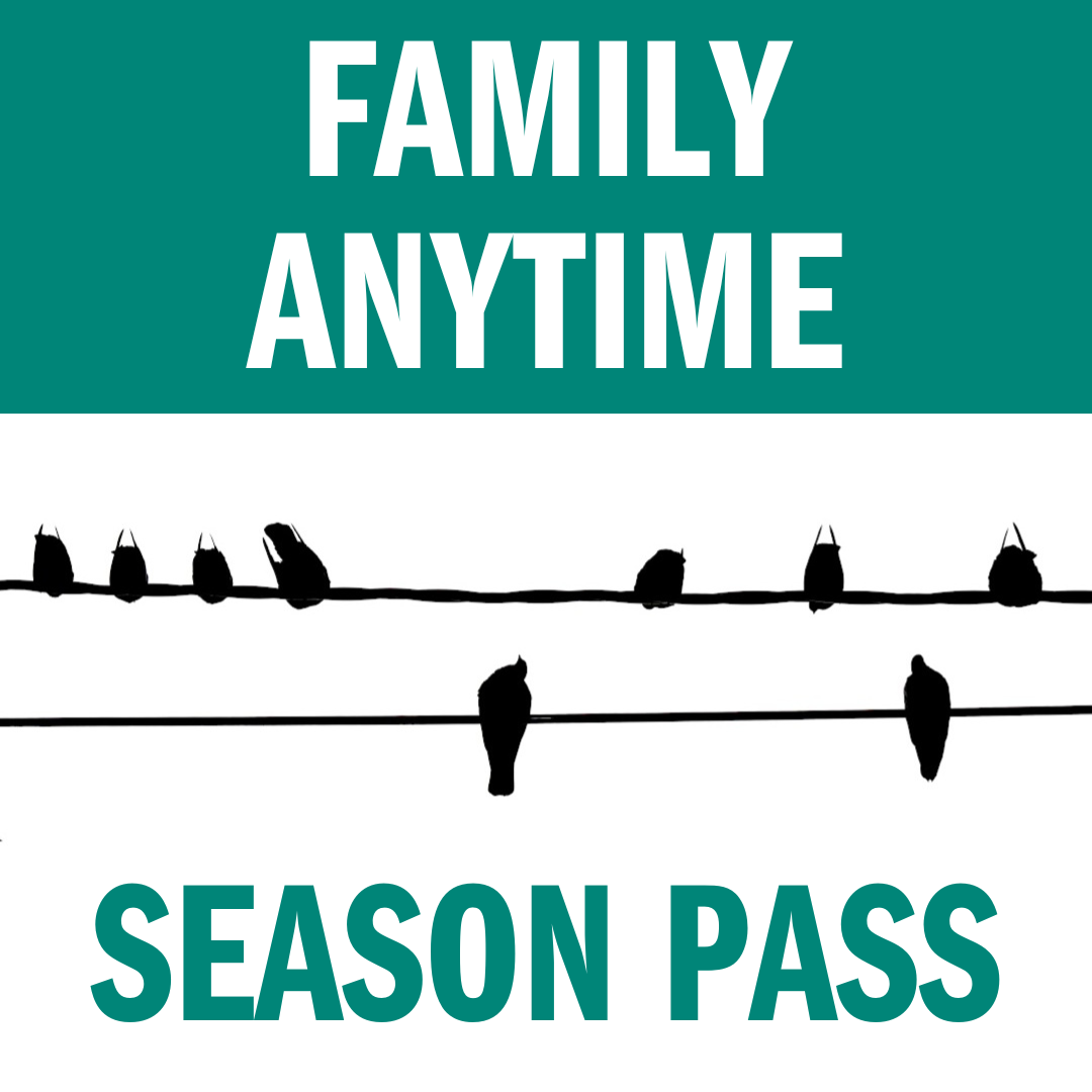 Family Anytime Season Pass 2024/25 (early bird) Online Store